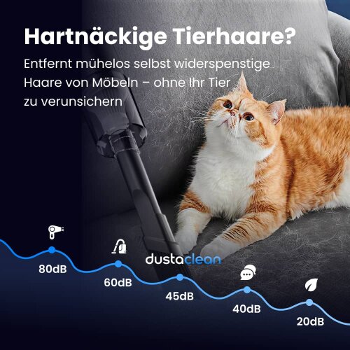 DustaClean image